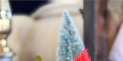 Cardinal Needle Felting Class