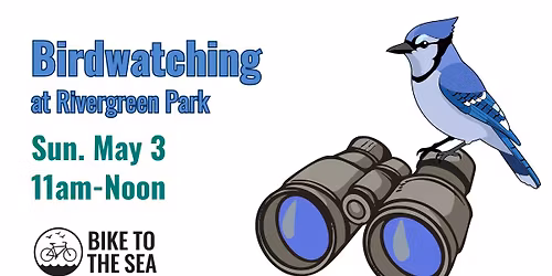 Birdwatching at Rivergreen Park