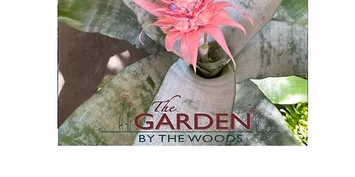 Houseplant Refresh Event