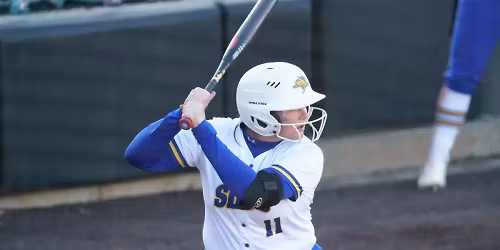 Parking St. Thomas Tommies at South Dakota State Jackrabbits Womens Basketball
