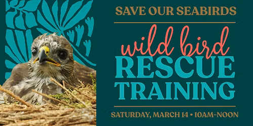 Wild Bird Rescue Training