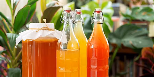 Kombucha Brewing 101