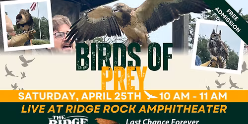Birds of Prey