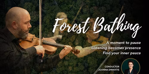 Forest Bathing | Wollongong