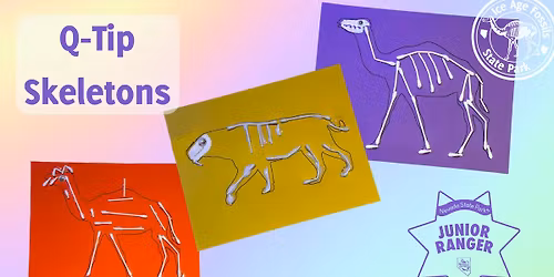 Q-Tip Skeletons