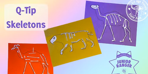 Q-Tip Skeletons
