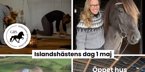 Islandsh\u00e4stens dag 1 maj - Link\u00f6ping