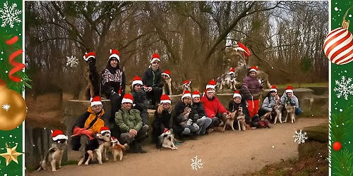 V\u00e1no\u010dn\u00ed proch\u00e1zka