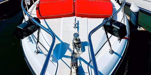 Whale Watching on a beautiful yacht 
