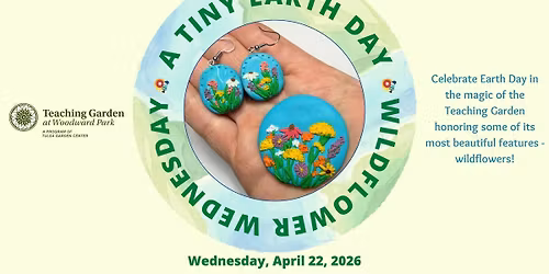 A Tiny Earth Day: Wildflower Wednesday