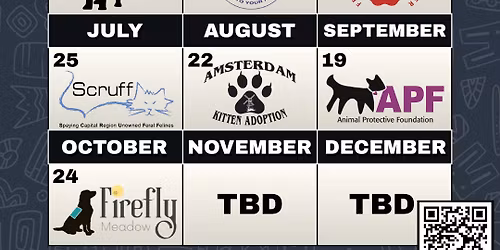 Pet Portraits For A Cause | Benefiting Almost Home NY