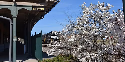 Watauga Valley RHSM TRAIN SHOW!