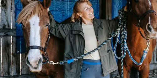 En f\u00f6rmiddag i stallet