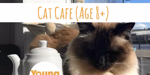Cat Cafe (Age 8+)