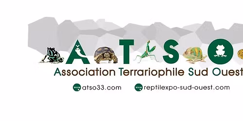 R\u00e9union trimestrielle - novembre 2025