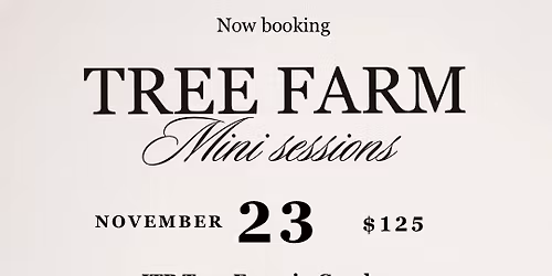 Tree farm mini session