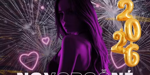 Novoro\u010dn\u00ed SEZNAMKA alias SILVESTR