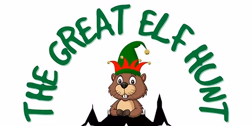 The Great Elf Hunt
