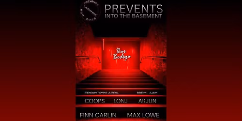 PREVENTS IN THE BASEMENT 002