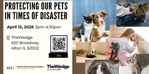 Protecting Our Pets in Times of Disaster