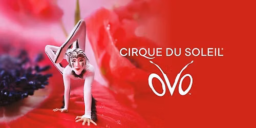 Cirque du Soleil - OVO
