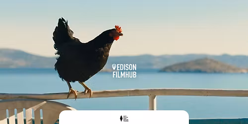 Slepice + Q&A Jind\u0159i\u0161ka Bl\u00e1hov\u00e1 | V\u00fdchodn\u00ed p\u0159\u00edsliby Kamily Dolotiny