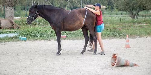 Stage d\u00e9couverte longues r\u00eanes - am\u00e9liorer notre connexion 