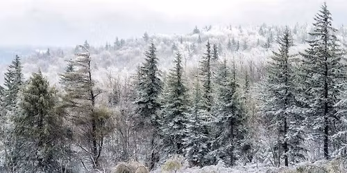 A Swannanoa Solstice