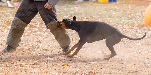 Fearless Ringsport hosts Prison Break! in association with UDC National Championship 2026 