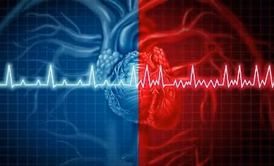Unit 52 Cardiac Monitor Refresher Education Day