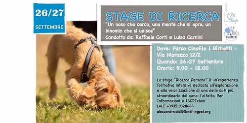 Stage di Ricerca