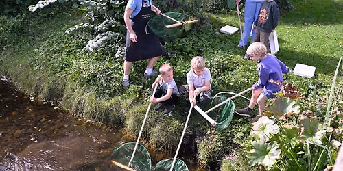 Minibioblitz i \u00d8reg\u00e5rdsparken - Gentofte Folkem\u00f8de