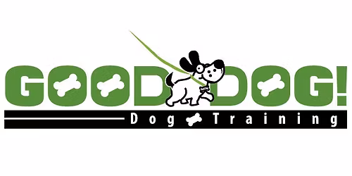 Basic obedience class