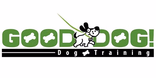 Basic obedience class