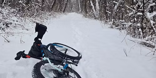 Global Fat Bike Day