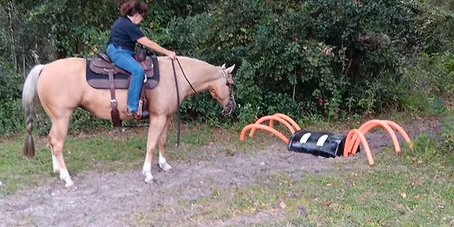 RCCC Obstacle Practice