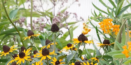 DIY: Landscape Design 101