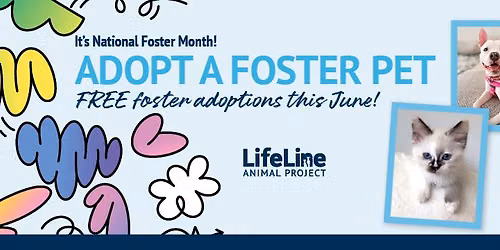 Bona Fide Deluxe\/ Vin ATL Trivia Night Dog Adoption Event