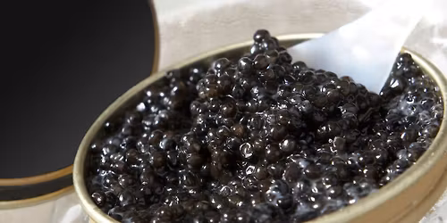 Exclusive Caviar & Vodka Exploration