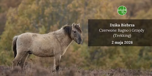 Dzika Biebrza \u2013 Czerwone Bagno i Grz\u0119dy (Trekking)