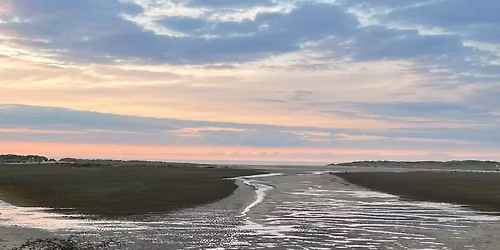 Norfolk, Holkham, Wild Food Foraging Walk\/Course