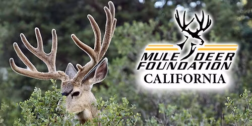 15th Annual Northbay Blacktail Chapter Banquet