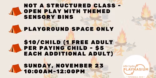 Sensory Sunday - Campfire