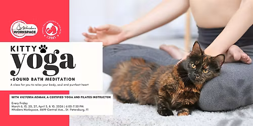 Kitty Yoga + Sound Bath Meditation