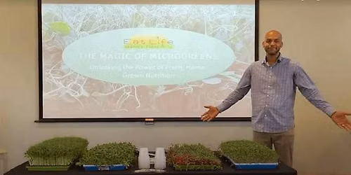 THE MAGIC OF MICROGREENS