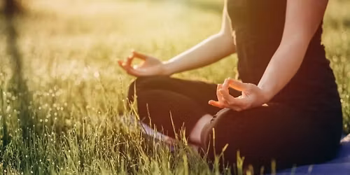 Mad\u00e1rcsicserg\u0151s j\u00f3ga a szabadban \ud83c\udf43\ud83d\udc26