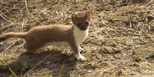 Winter Writers' Conference