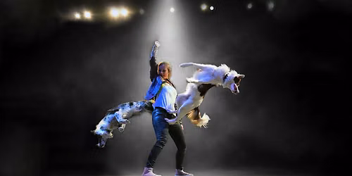 Mutts Gone Nuts: Mutts, Magic and Mayhem!