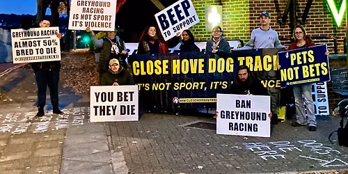 Call To Action at Brighton and Hove Greyhound Stadium
