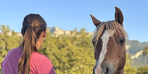 Vers la connexion en libert\u00e9